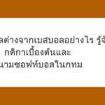 ซอฟท์บอลต่างจากเบสบอลอย่างไร รู้จักกติกาเบื้องต้นและสนามซอฟท์บอลในกทม