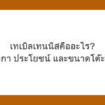 เทเบิลเทนนิสคืออะไร? รู้จักกติกา ประโยชน์ และขนาดโต๊ะที่ควรรู้