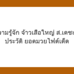 ทำความรู้จัก จ้าวเสือใหญ่ ส.เดชะพันธ์ ประวัติ ยอดมวยไฟต์เด็ด